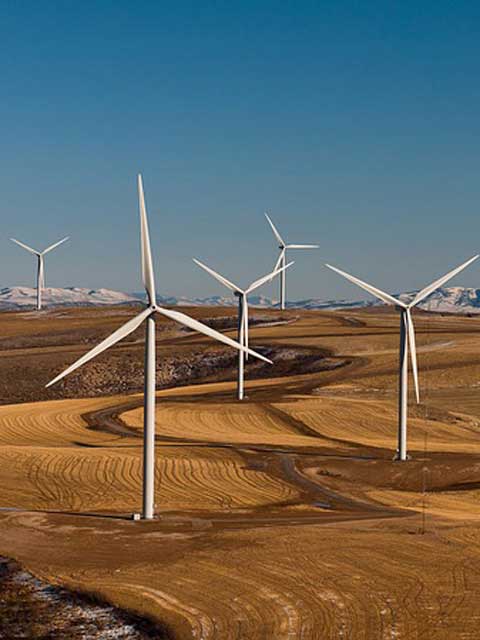 验证服务平台的短信测压app